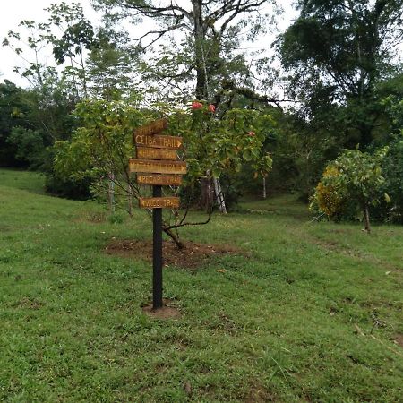 Finca Sueno De Osa Puerto Jiménez Exterior foto
