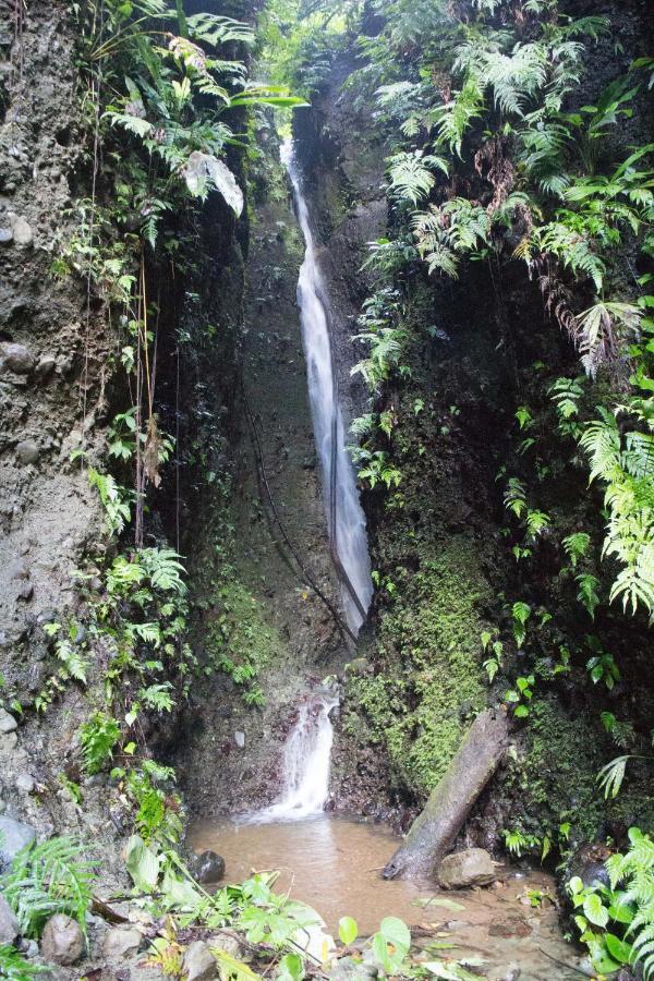 Finca Sueno De Osa Puerto Jiménez Exterior foto
