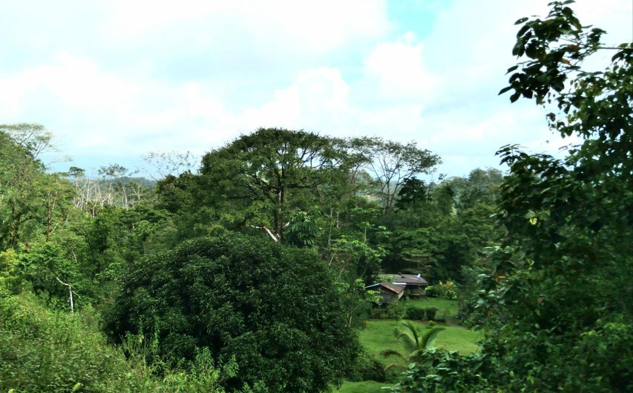 Finca Sueno De Osa Puerto Jiménez Exterior foto