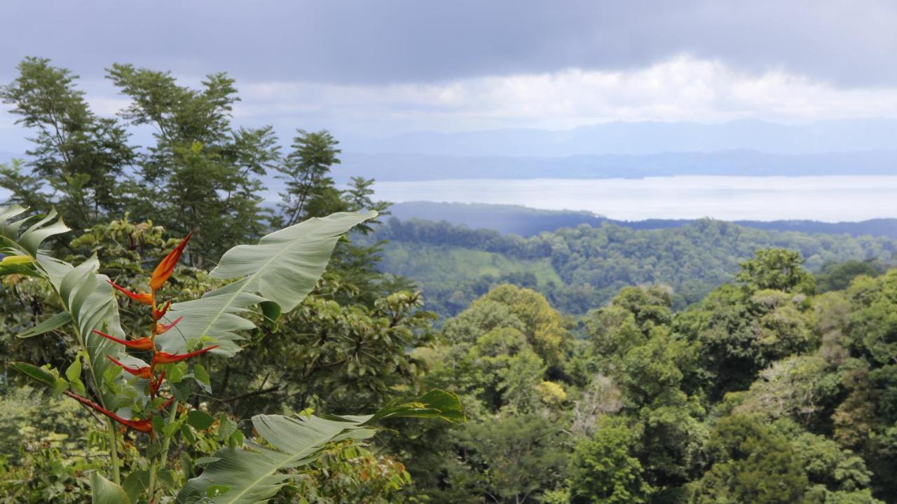 Finca Sueno De Osa Puerto Jiménez Exterior foto